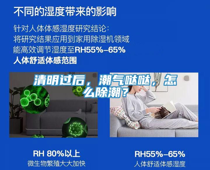 清明過后，潮氣噠噠，怎么除潮？
