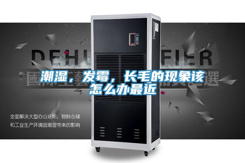 潮濕，發(fā)霉，長毛的現(xiàn)象該怎么辦最近