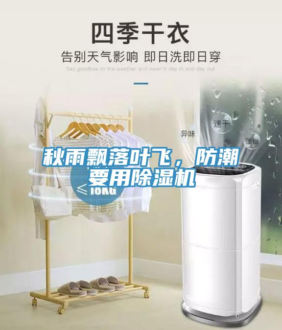 秋雨飄落葉飛，防潮要用除濕機
