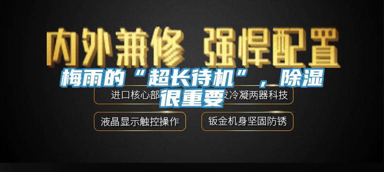 梅雨的“超長(zhǎng)待機(jī)”，除濕很重要