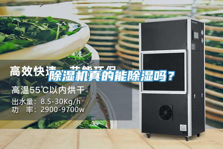 除濕機真的能除濕嗎？