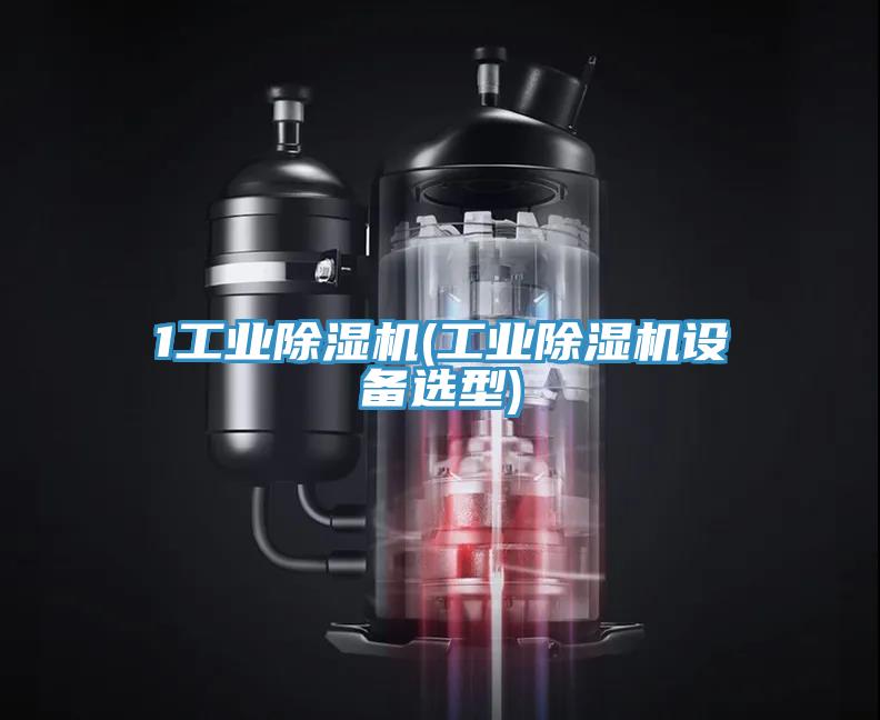 1工業(yè)除濕機(jī)(工業(yè)除濕機(jī)設(shè)備選型)