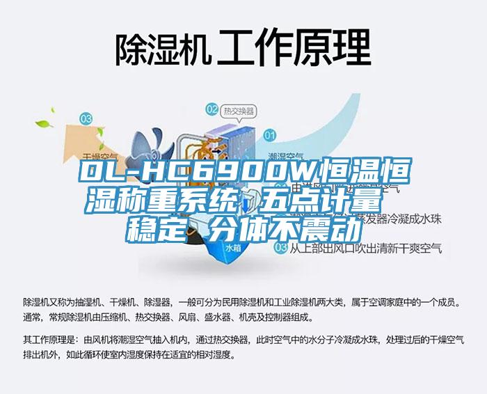 DL-HC6900W恒溫恒濕稱重系統(tǒng) 五點(diǎn)計(jì)量 穩(wěn)定 分體不震動(dòng)