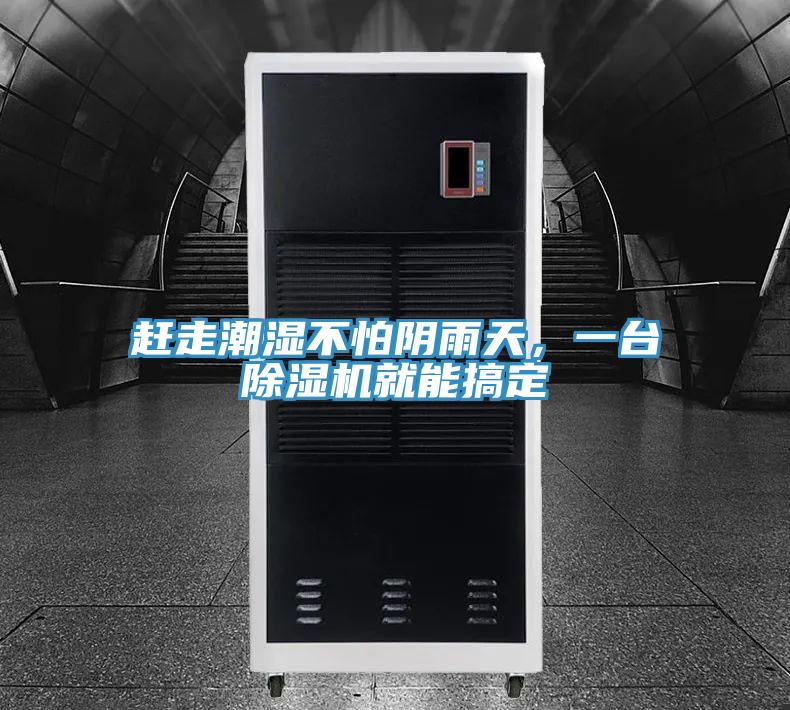 趕走潮濕不怕陰雨天，一臺除濕機就能搞定