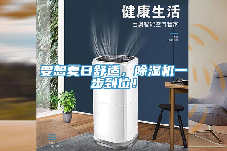 要想夏日舒適，除濕機一步到位！