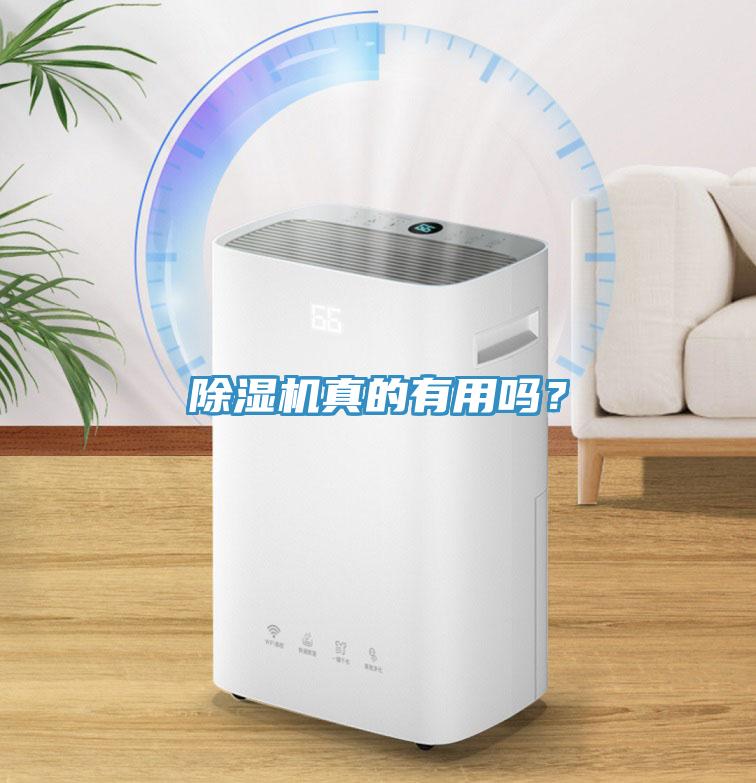 除濕機(jī)真的有用嗎？