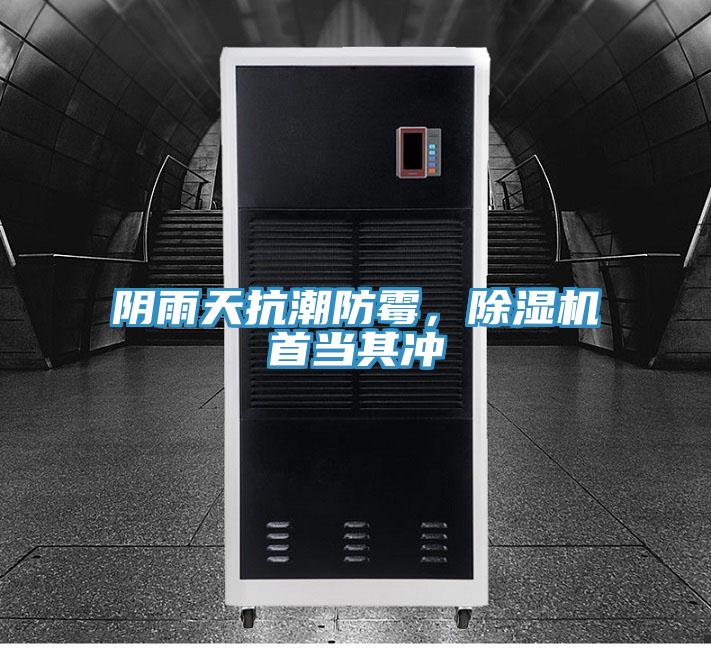 陰雨天抗潮防霉，除濕機(jī)首當(dāng)其沖