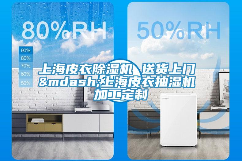 上海皮衣除濕機(jī) 送貨上門 &mdash;上海皮衣抽濕機(jī) 加工定制