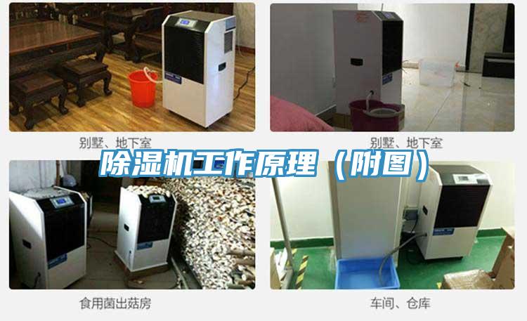 除濕機(jī)工作原理（附圖）
