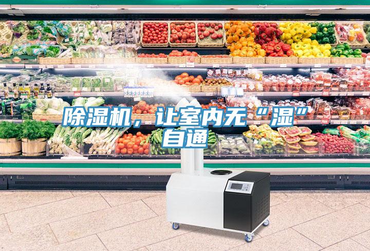 除濕機(jī)，讓室內(nèi)無(wú)“濕”自通