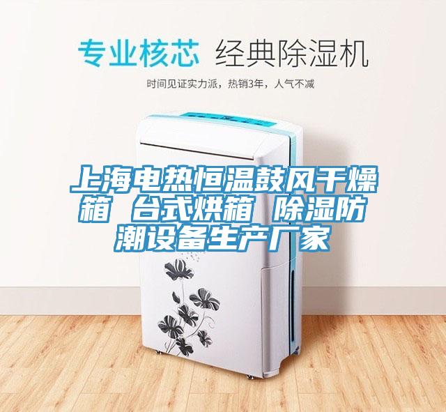 上海電熱恒溫鼓風(fēng)干燥箱 臺(tái)式烘箱 除濕防潮設(shè)備生產(chǎn)廠家