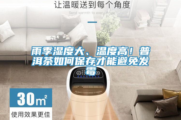 雨季濕度大、溫度高！普洱茶如何保存才能避免發(fā)霉