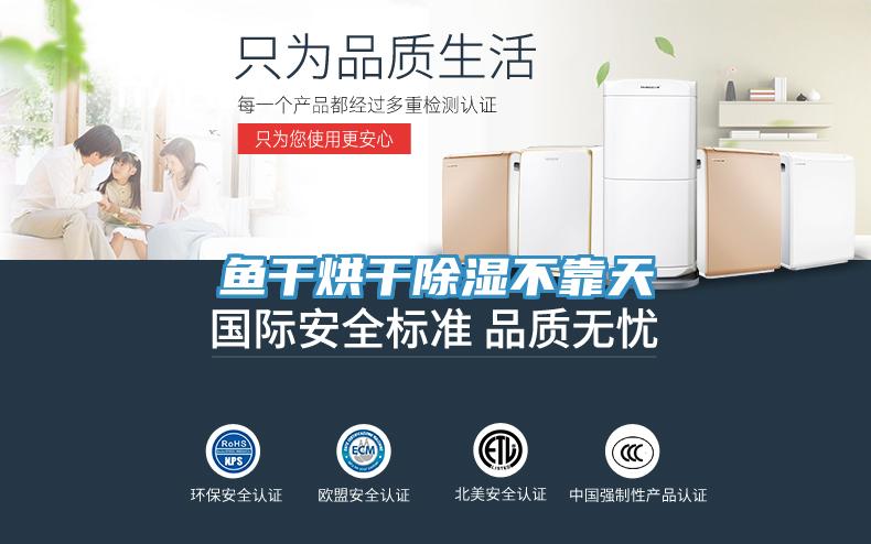 魚(yú)干烘干除濕不靠天