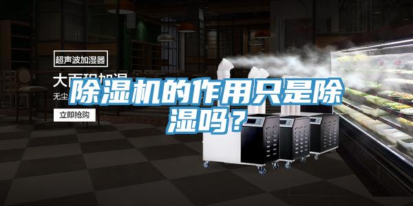 除濕機(jī)的作用只是除濕嗎？