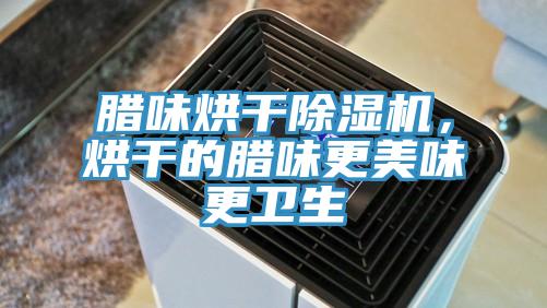 臘味烘干除濕機(jī)，烘干的臘味更美味更衛(wèi)生