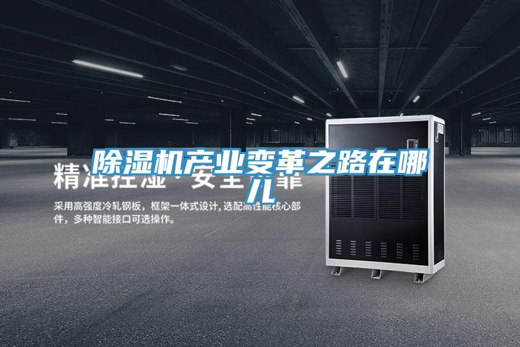 除濕機(jī)產(chǎn)業(yè)變革之路在哪兒