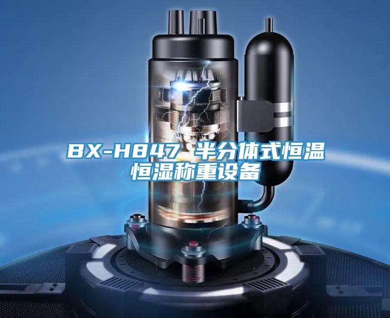 BX-H847 半分體式恒溫恒濕稱重設(shè)備