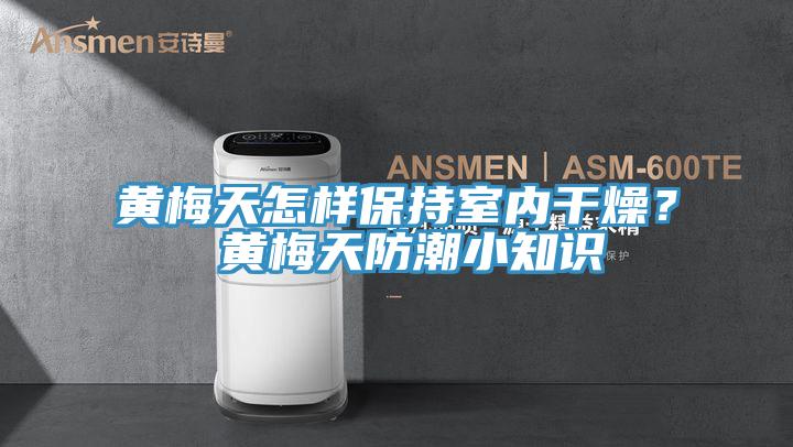 黃梅天怎樣保持室內(nèi)干燥？ 黃梅天防潮小知識