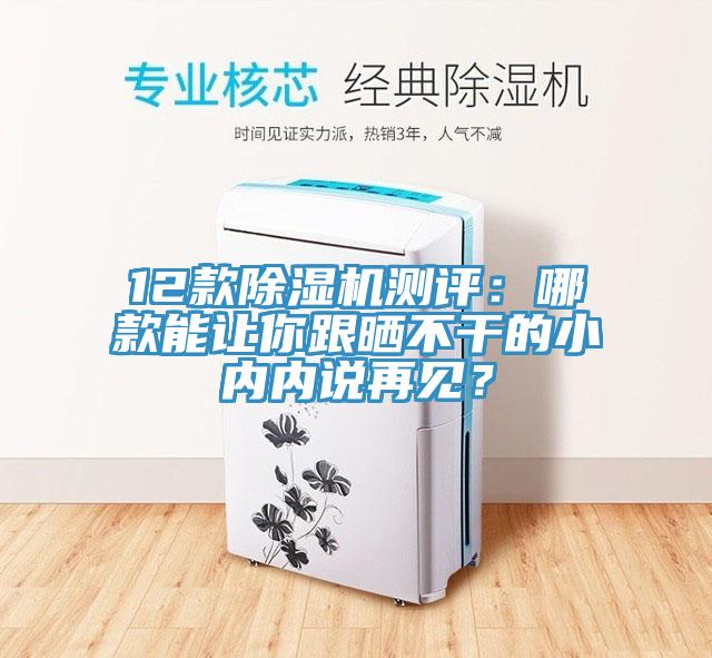 12款除濕機(jī)測(cè)評(píng)：哪款能讓你跟曬不干的小內(nèi)內(nèi)說再見？
