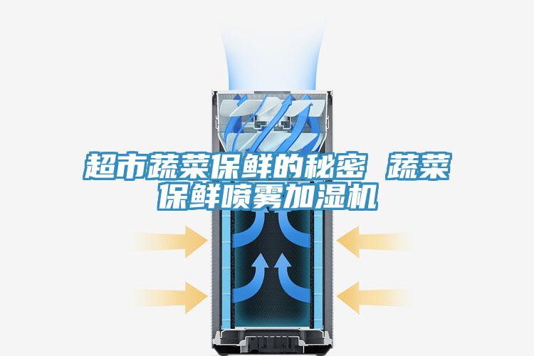 超市蔬菜保鮮的秘密 蔬菜保鮮噴霧加濕機