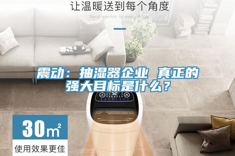 震動：抽濕器企業(yè) 真正的強(qiáng)大目標(biāo)是什么？