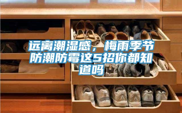 遠(yuǎn)離潮濕感，梅雨季節(jié)防潮防霉這5招你都知道嗎