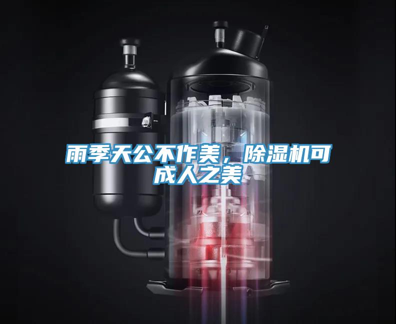 雨季天公不作美，除濕機可成人之美
