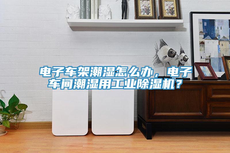 電子車架潮濕怎么辦，電子車間潮濕用工業(yè)除濕機？