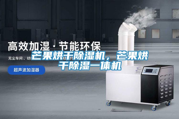 芒果烘干除濕機(jī)，芒果烘干除濕一體機(jī)