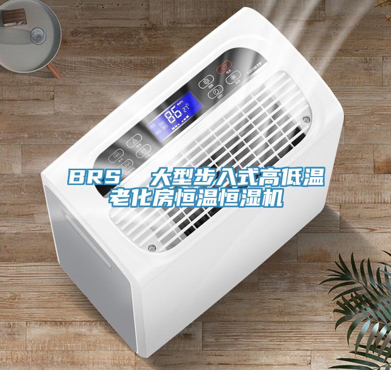 BRS  大型步入式高低溫老化房恒溫恒濕機(jī)
