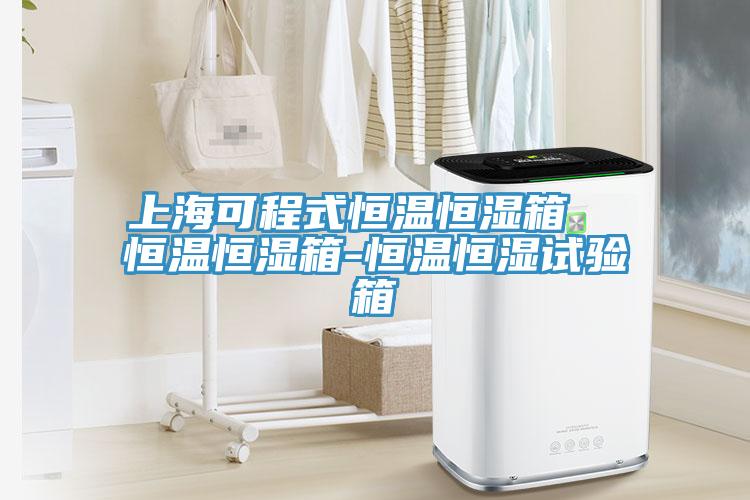 上?？沙淌胶銣睾銤裣? 恒溫恒濕箱-恒溫恒濕試驗箱
