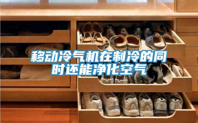 移動冷氣機在制冷的同時還能凈化空氣