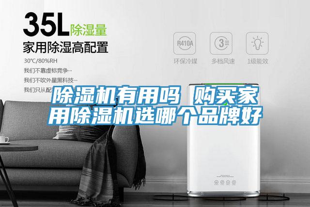 除濕機(jī)有用嗎 購買家用除濕機(jī)選哪個品牌好