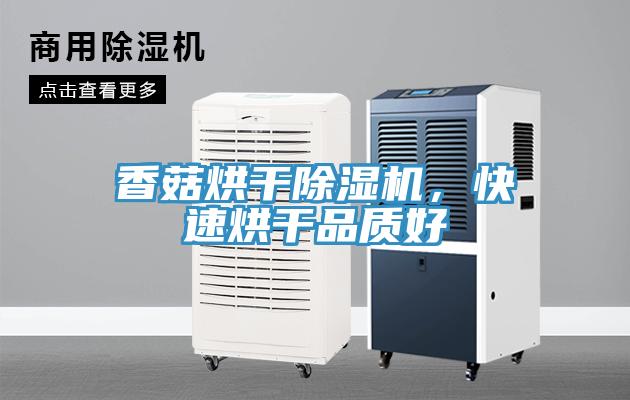 香菇烘干除濕機(jī)，快速烘干品質(zhì)好
