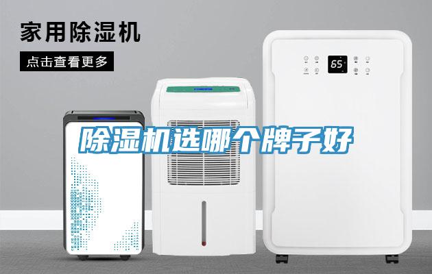 除濕機(jī)選哪個(gè)牌子好