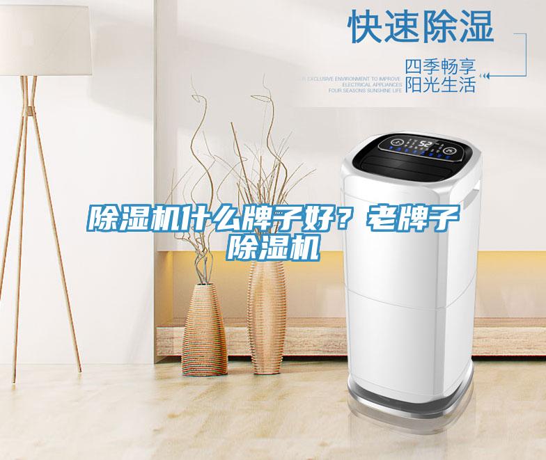 除濕機(jī)什么牌子好？老牌子除濕機(jī)