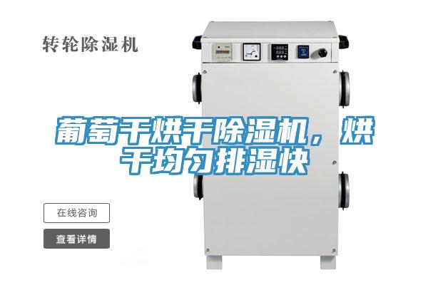 葡萄干烘干除濕機(jī)，烘干均勻排濕快
