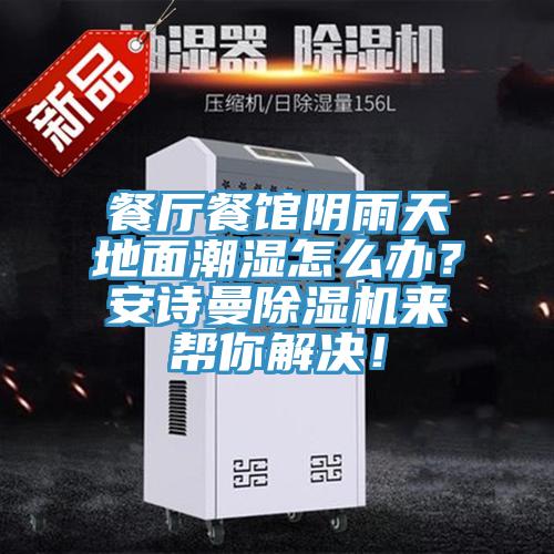 餐廳餐館陰雨天地面潮濕怎么辦？安詩曼除濕機(jī)來幫你解決！