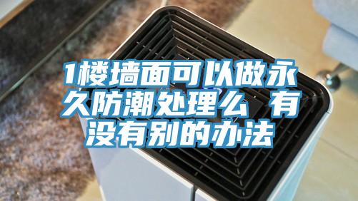 1樓墻面可以做永久防潮處理么 有沒(méi)有別的辦法
