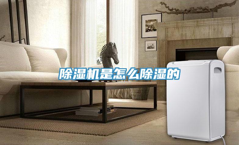 除濕機(jī)是怎么除濕的