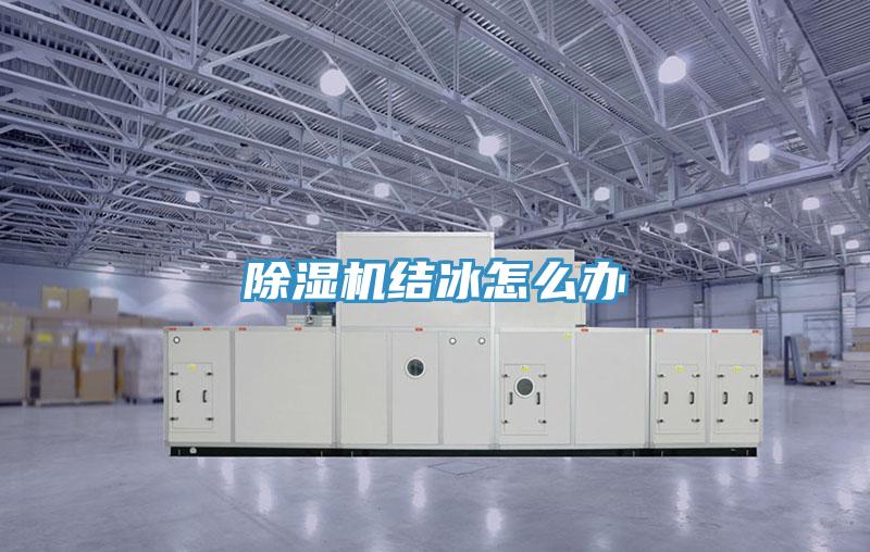 除濕機結(jié)冰怎么辦