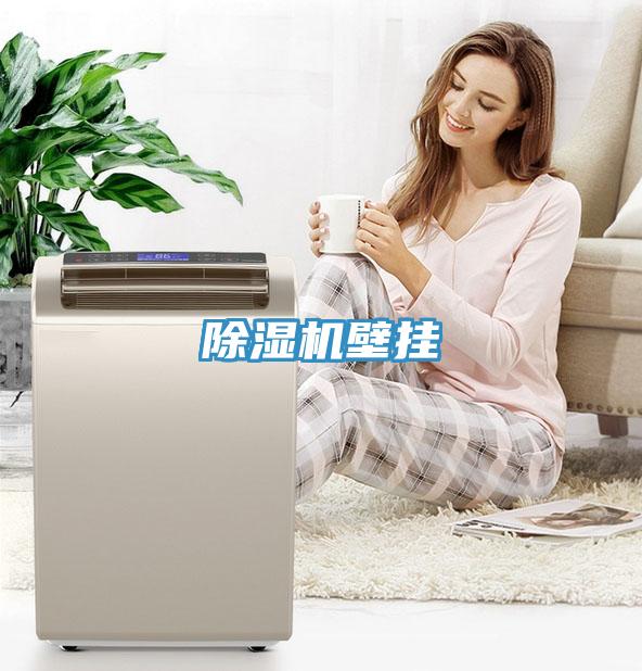 除濕機(jī)壁掛