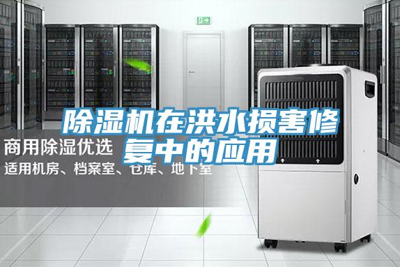 除濕機(jī)在洪水損害修復(fù)中的應(yīng)用