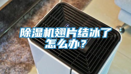 除濕機(jī)翅片結(jié)冰了怎么辦？