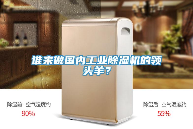 誰來做國內(nèi)工業(yè)除濕機的領頭羊？