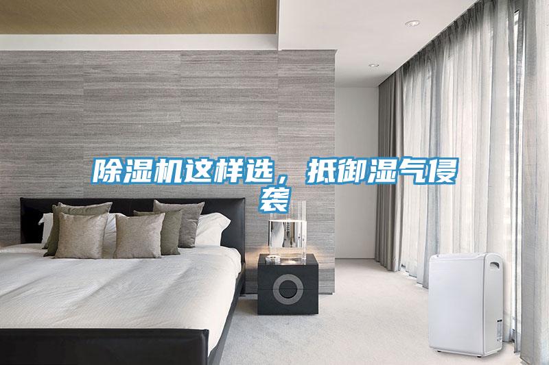 除濕機這樣選，抵御濕氣侵襲