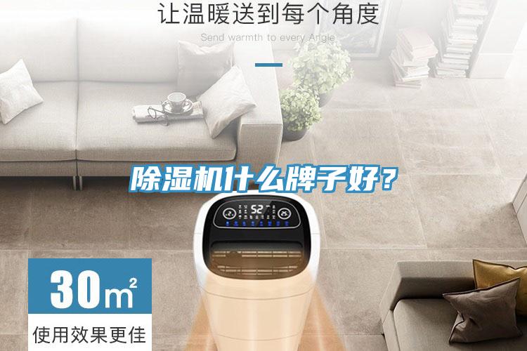 除濕機(jī)什么牌子好？