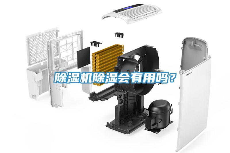 除濕機(jī)除濕會(huì)有用嗎？