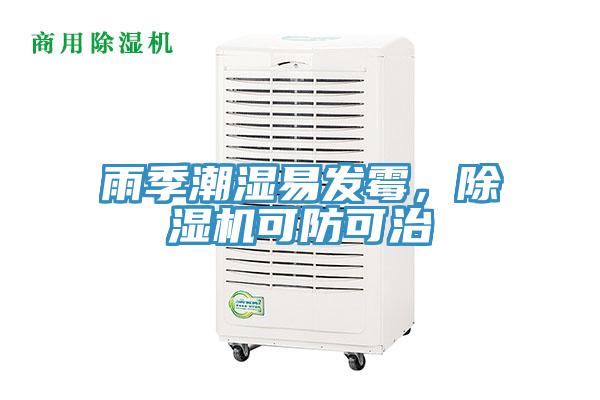 雨季潮濕易發(fā)霉，除濕機(jī)可防可治