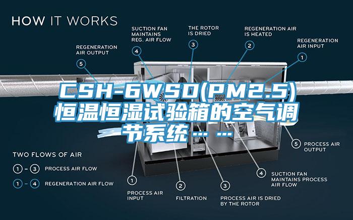 CSH-6WSD(PM2.5)恒溫恒濕試驗(yàn)箱的空氣調(diào)節(jié)系統(tǒng)……